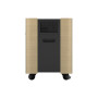 Epson Mobile A/V Cabinet , ELPCS01