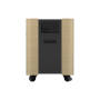 Epson Mobile A/V Cabinet , ELPCS01