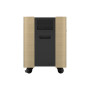 Epson Mobile A/V Cabinet , ELPCS01