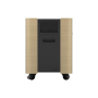 Epson Mobile A/V Cabinet , ELPCS01