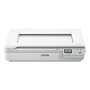 Epson Document scanner WorkForce DS-50000N Flatbed