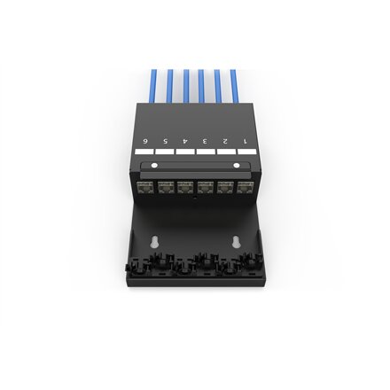 Digitus Consolidation point box, 6-port Keystone modules with intelligent cable manager , DN-93708-6