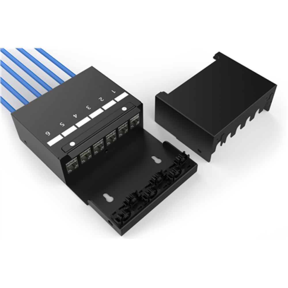 Digitus Consolidation point box, 6-port Keystone modules with intelligent cable manager , DN-93708-6