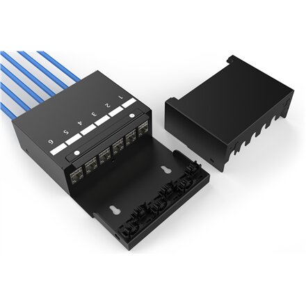 Digitus Consolidation point box, 6-port Keystone modules with intelligent cable manager , DN-93708-6
