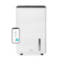 Duux , Smart Dehumidifier , Bora , Suitable for rooms up to 50 m² , Water tank capacity 4 L , White