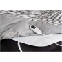 Medisana Heated Underblanket HU 665 Number of heating levels 3 Number of persons 1 Washable Oeko-Tex® standard 100 60 W White