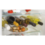 Candy Refrigerator CCUBT5519EW Energy efficiency class E, Built-in, Combi, Height 193.5 cm, No Frost system, Fridge net capacity 219 L, Freezer net capacity 62 L, Display, 33 dB, White