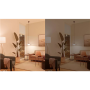 Philips Smart WFB 100W A60 822-65 RGB 1PF/6 , E27 , 12.5 W , Multicolour light , Bluetooth, Wi-Fi
