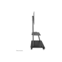 Neomounts By Newstar TV SET ACC FLOOR STAND 60-105/NS-M4000BLACK NEOMOUNTS , Neomounts
