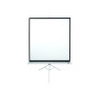 Elite Screens , Tripod Series , T99NWS1 , Diagonal 99 , 1:1 , Viewable screen width (W) 178 cm , White