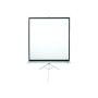 T99NWS1 , Tripod Series , Diagonal 99 , 1:1 , Viewable screen width (W) 178 cm , White
