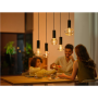 Philips Hue WCA Lightguide G125 , E27 , 6.8 W , White and colour light