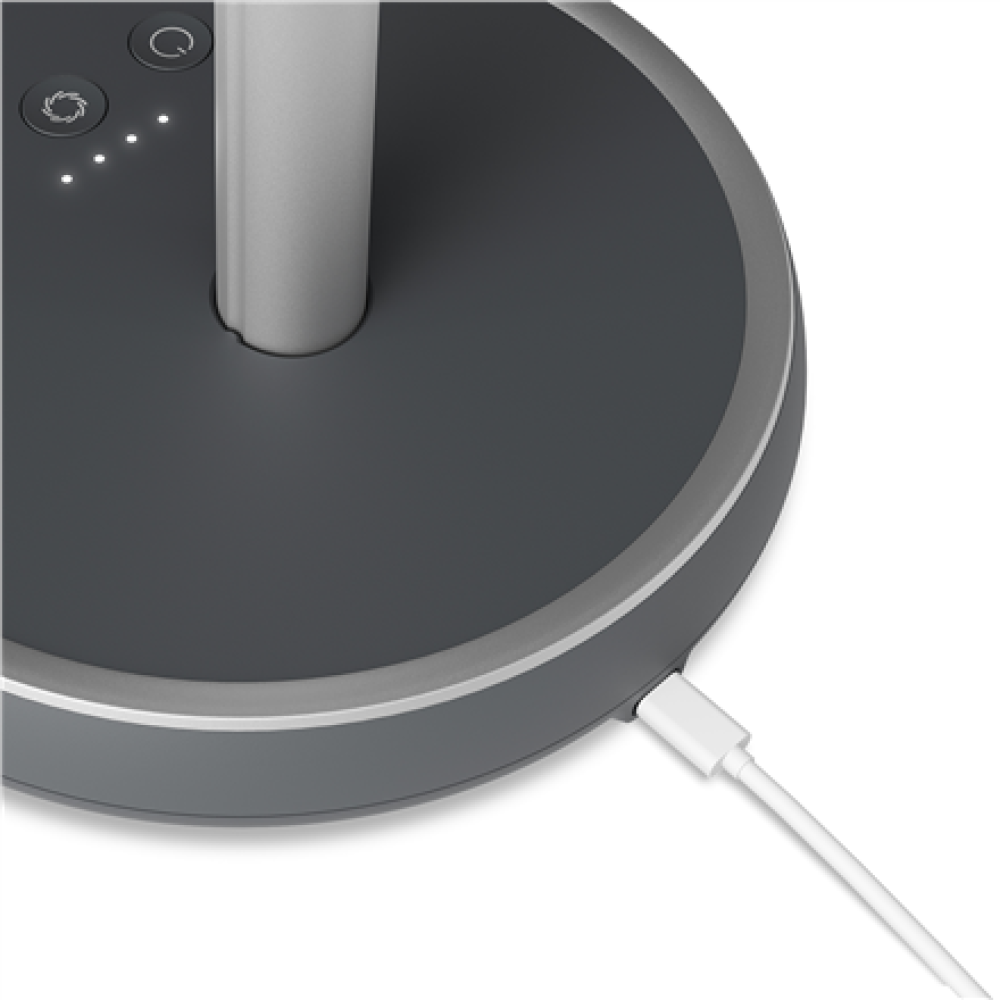 Duux Fan , Rize Flex , Stand Fan , Grey , Diameter 21 cm , Number of speeds 4 , Oscillation , 10 W