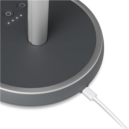 Duux Fan , Rize Flex , Stand Fan , 10 W , Diameter 21 cm , Number of speeds 4 , Oscillation , Grey