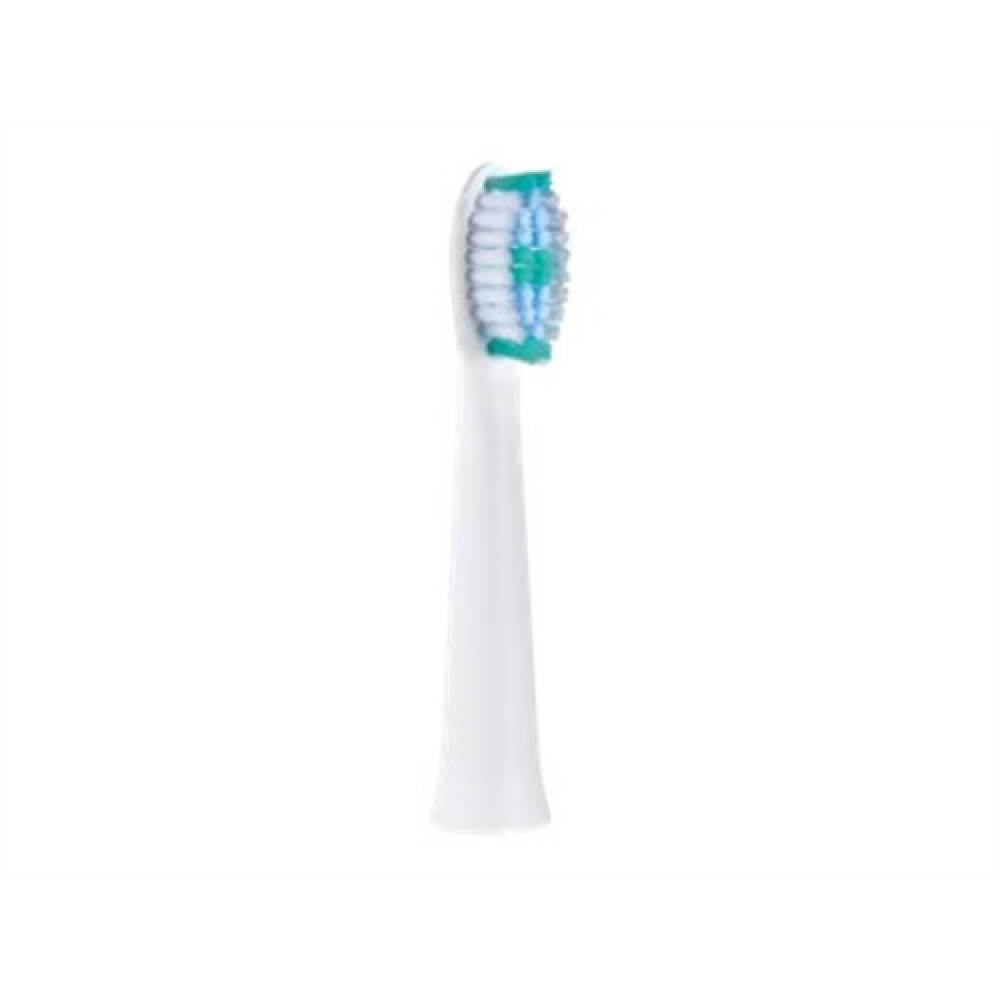 Panasonic , Toothbrush replacement , WEW0974W503 , Heads , For adults , Number of brush heads included 2 , Number of teeth brushing modes Does not apply , White