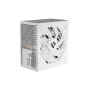 Genesis , PSU , Nihon 750NM , 750 W , White