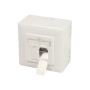 Logilink , Cat.6A Wall Outlet STP , NP0124