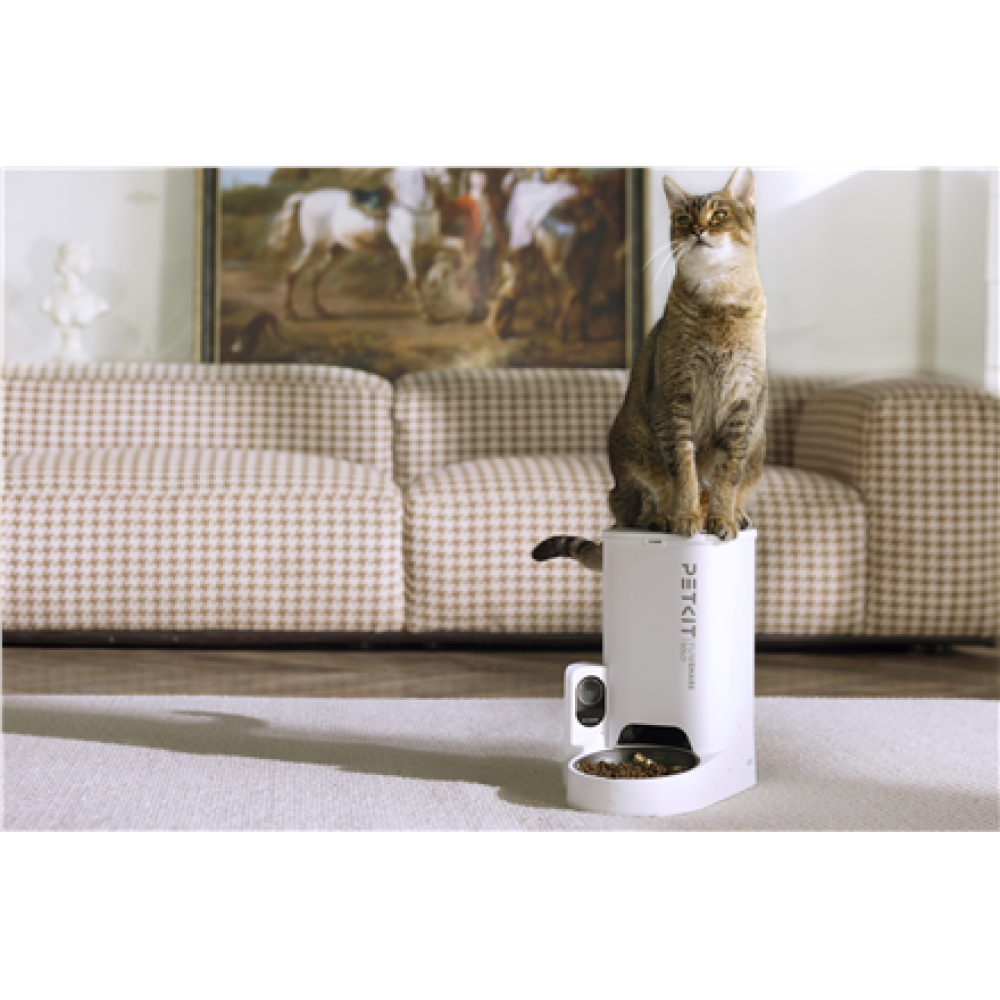 PETKIT , Feeder with Camera , P571 YumShare Solo , Capacity 3 L , White