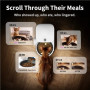 PETKIT P571 2 (D4H-2) YumShare Solo 2 Feeder with camera , Capacity 3 L , Material ABS, 304 stainless steel, Silicone , White