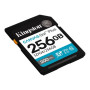 Kingston , Canvas Go! Plus , 256 GB , SD , Flash memory class Class 10, UHS-I, U3, V30