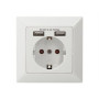 Digitus Safety socket for flush mounting with 2 USB ports , DA-70613