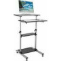TECHLY 102833 Universal presentation notebook trolley with four shelves, adjustable