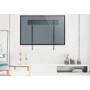 REFLECTA PLANOLED 80-6030 for OLED TV 43-80 inch