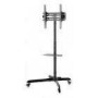 REFLECTA TV Stand 55DS black 32-55inch Special for DigitalSignage Screens max load TV 50kg