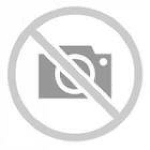 PHILIPS 24E1N1100A/00 23.8inch 1920x1080 16:9 1ms 250cd/m2 HDMI VGA Black