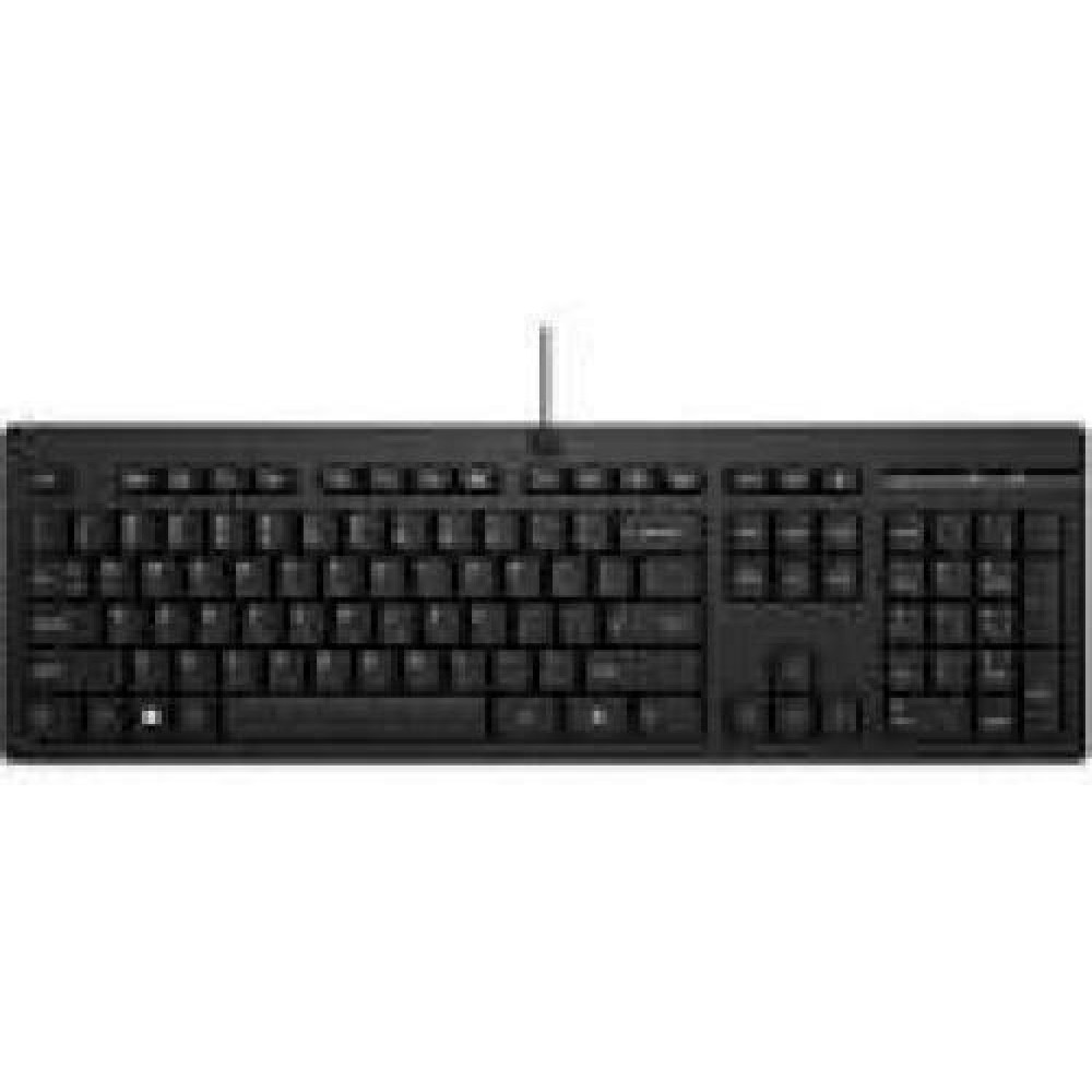 HP 125 USB WD KBD Bulk 12