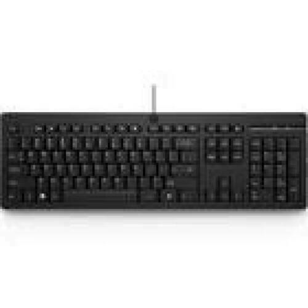 HP Wired Keyboard 125 - Russian version (RU)