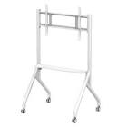 TECHLY Multifunction Mobile Floor Stand for LCD/LED/Plasma TV 65inch-100inch White