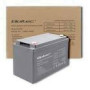 QOLTEC 53038 Battery AGM 12V 100Ah max.30A
