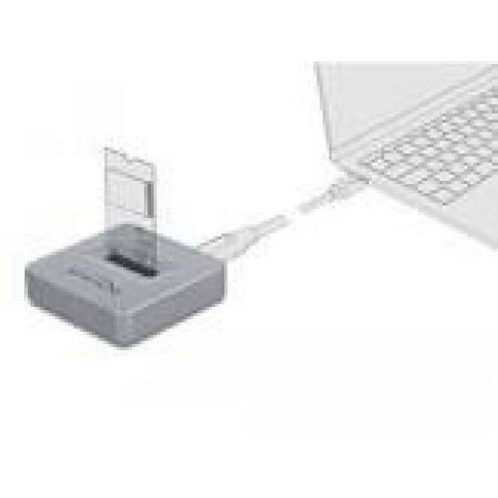 DELOCK M.2 Docking Station for M.2 NVMe PCIe SSD with USB Type-C female