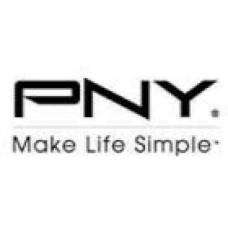 PNY GRID CSP vPC Subscription 5 Months Upfront-Based Named User RENEW