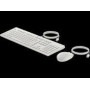 HP 225 Wired Mouse and Keyboard Combo Cashmere White