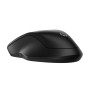 HP 255 Dual Wireless B Mouse (EN)