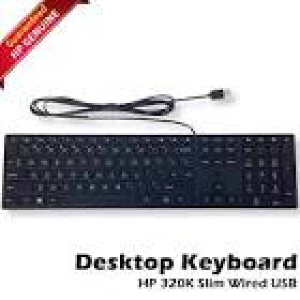 HP 320K Wired Keyboard SmartBuy (EN)