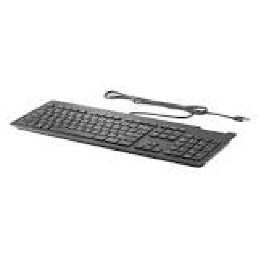 HP Slim v2 SmardCard USB KBD (RUS)