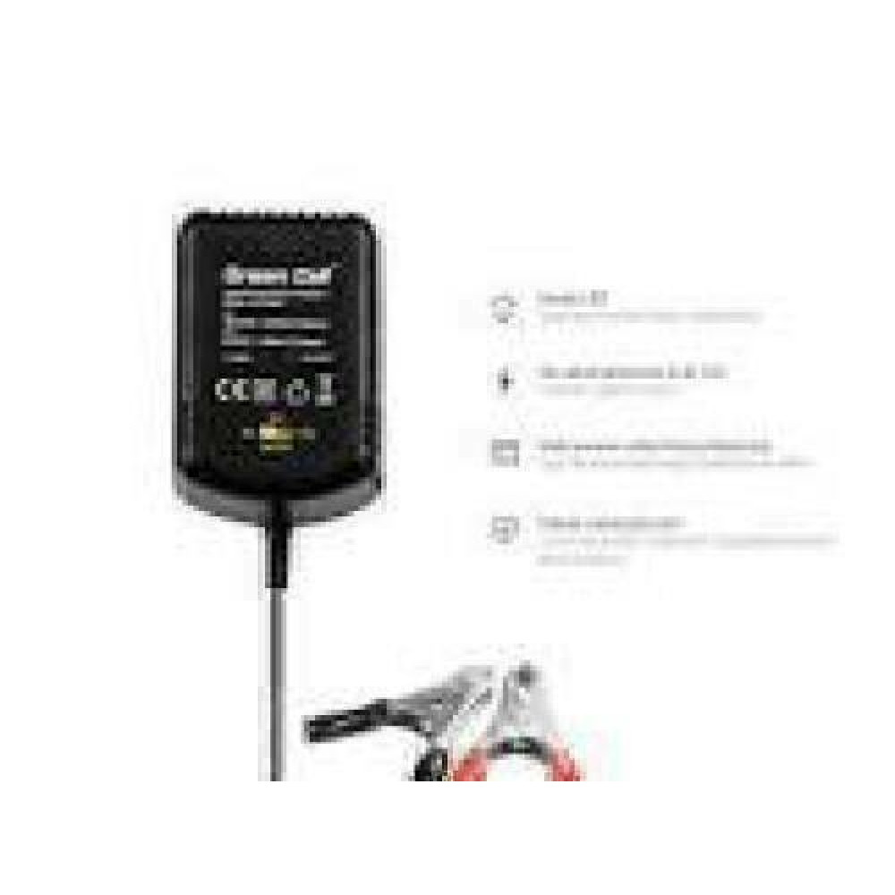 GREENCELL Charger for accumulators 2V / 6V / 12V 0.6A