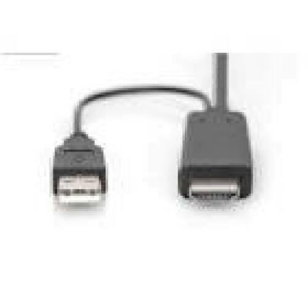 DIGITUS HDMI to DP adapter cable 2m 4K/30Hz external Power via USB - A