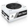CORSAIR RM750x 750 Watt 80 PLUS GOLD Certified Fully Modular Power Supply