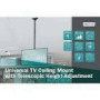 DIGITUS Monitor/TV Ceiling Mount 37-70inch 50kg max 1060-1560mm black