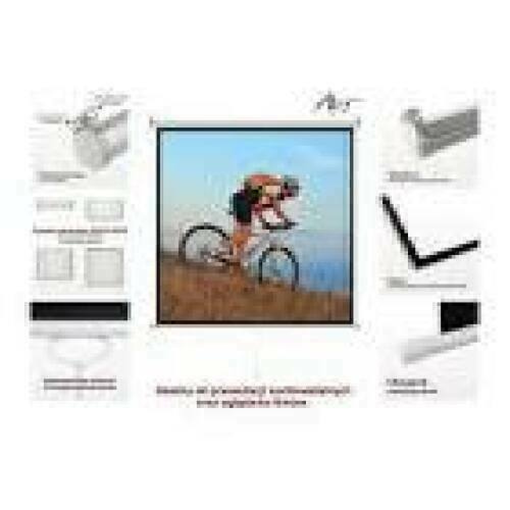 ART ER M84 4:3 manual display semi-automat 4:3 84 170x127cm MS-84 4:3