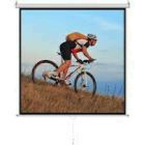 ART HAND SCREEN 70inch 178x178cm MA-70 1:1