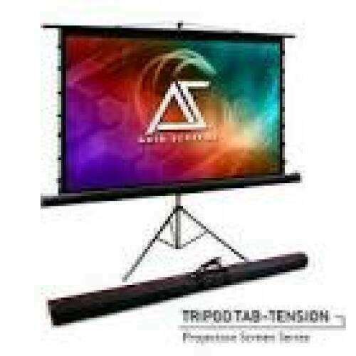 ART MANUAL SCREEN ON A TRIPOD 140inch 254x254cm TA-140 1:1 double tripod