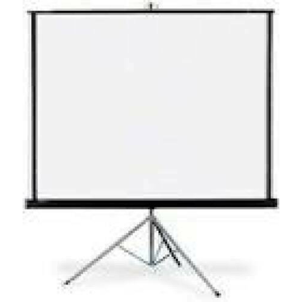 ART HAND-HELD SCREEN ON A TRIPOD 70inch 111x148cm TA-70 4:3