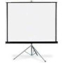ART HAND-HELD SCREEN ON A TRIPOD 70inch 111x148cm TA-70 4:3