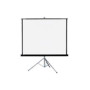 ART HAND-HELD SCREEN ON A TRIPOD 96inch 146x195cm TA-96 4:3