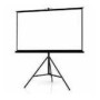 ART HAND-HELD SCREEN ON A TRIPOD 96inch 146x195cm TA-96 4:3
